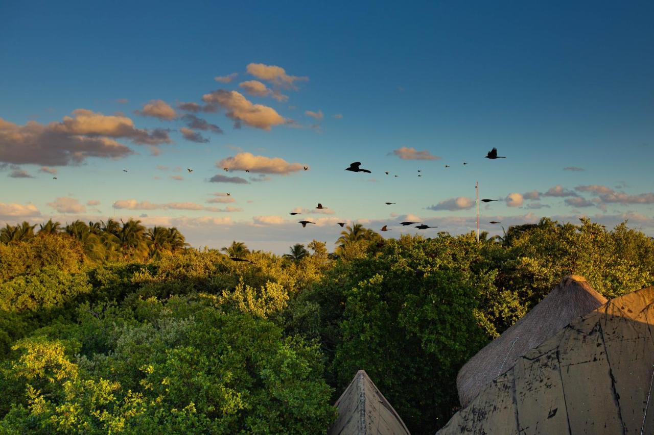 Mamasan Treehouses & Cabins Tulum Kültér fotó